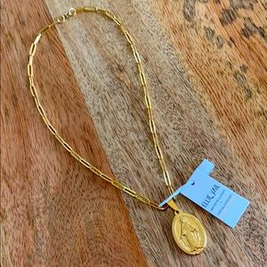 Ellie Vail-  coin link necklace 20”